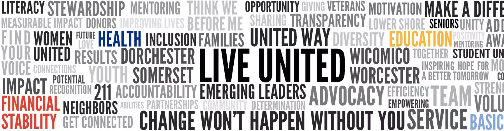 United Way of the Lower Eastern Shore cover